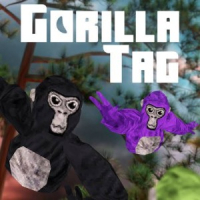 app image